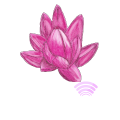 Dijital Yoga